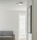 Alis Ceiling and Wall Light