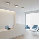 Alis Ceiling and Wall Light
