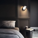 Pin-Up Wall and Ceiling Light