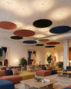 Sound Suspension Lamp