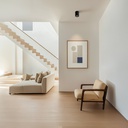 Musca Ceiling Light