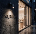 Gaia Outdoor Recessed Wall Light