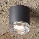 Artic Outdoor Ceiling Light