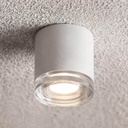 Artic Outdoor Ceiling Light