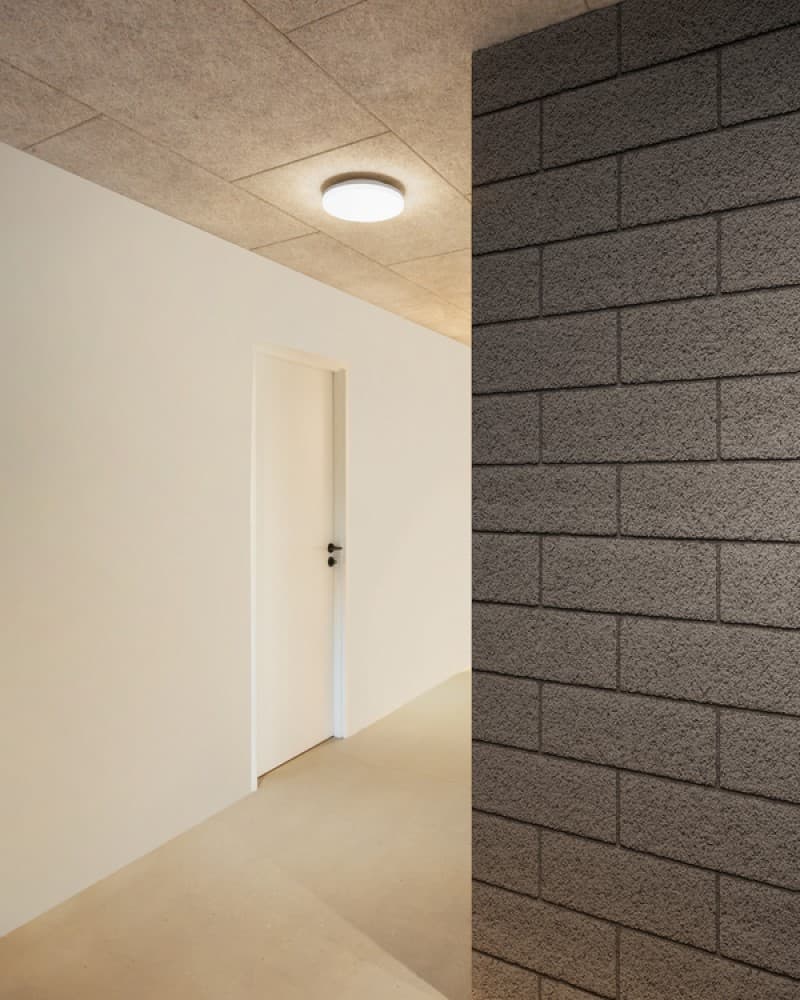 Ross IP54 Ceiling Light