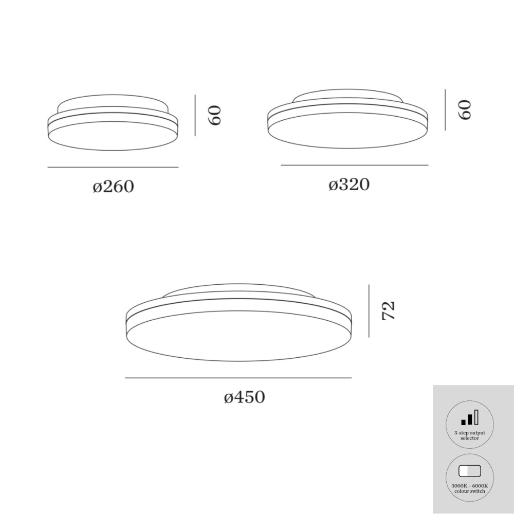 Ross IP54 Ceiling Light