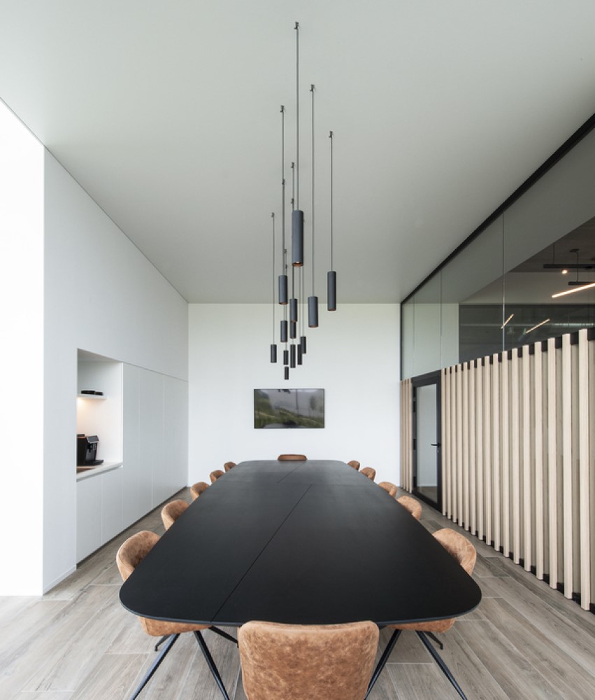 Ray LED Suspension Lamp