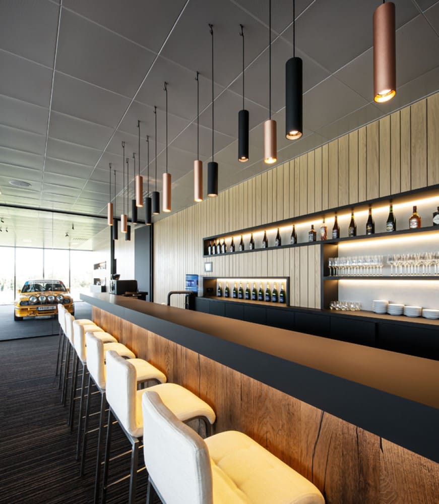 Ray LED Suspension Lamp