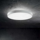 Halo Ceiling Light