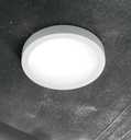 Universal Round Ceiling Light