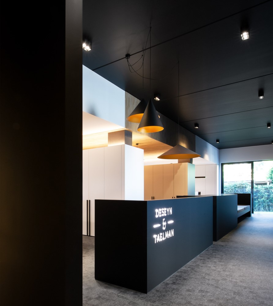 Dinor Suspension Lamp