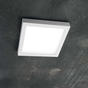 Universal Square Wall and Ceiling Light