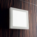 Universal Square Wall and Ceiling Light