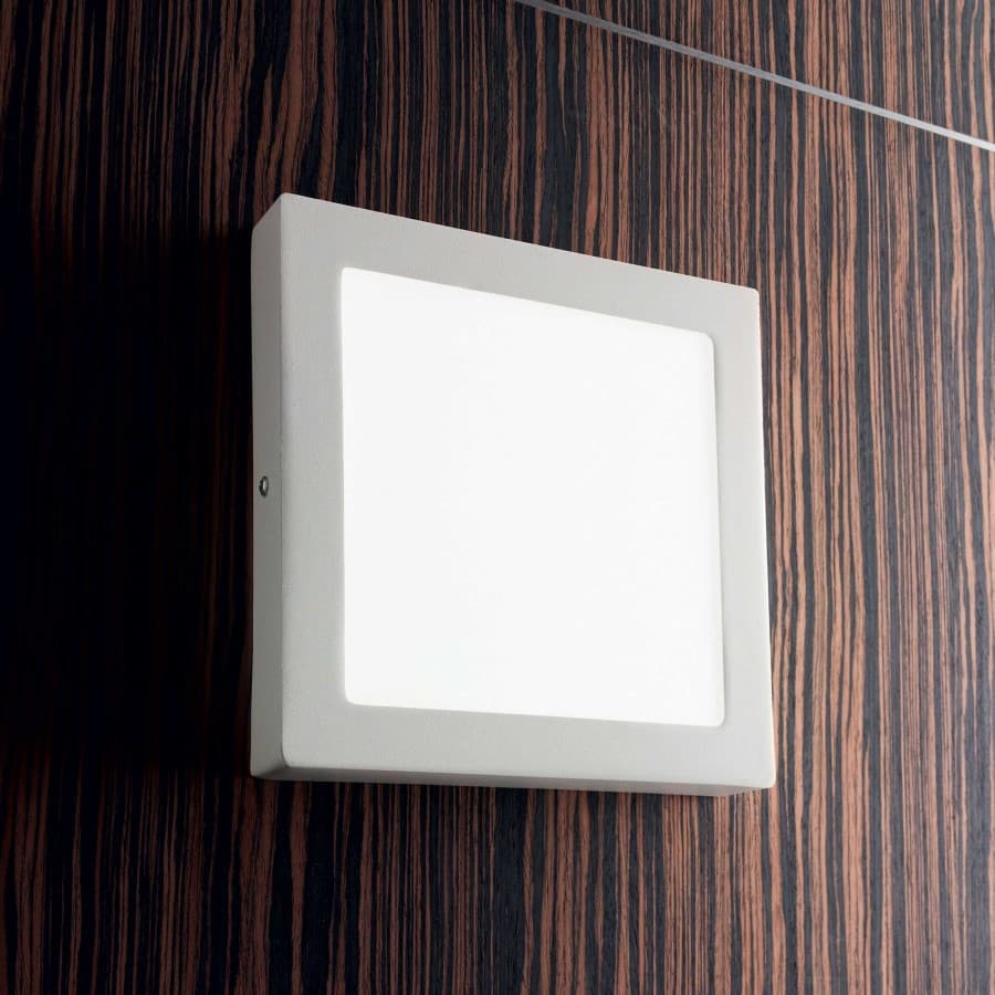 Universal Square Wall and Ceiling Light
