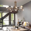 Triumph Suspension Lamp