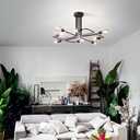 Triumph Ceiling Light