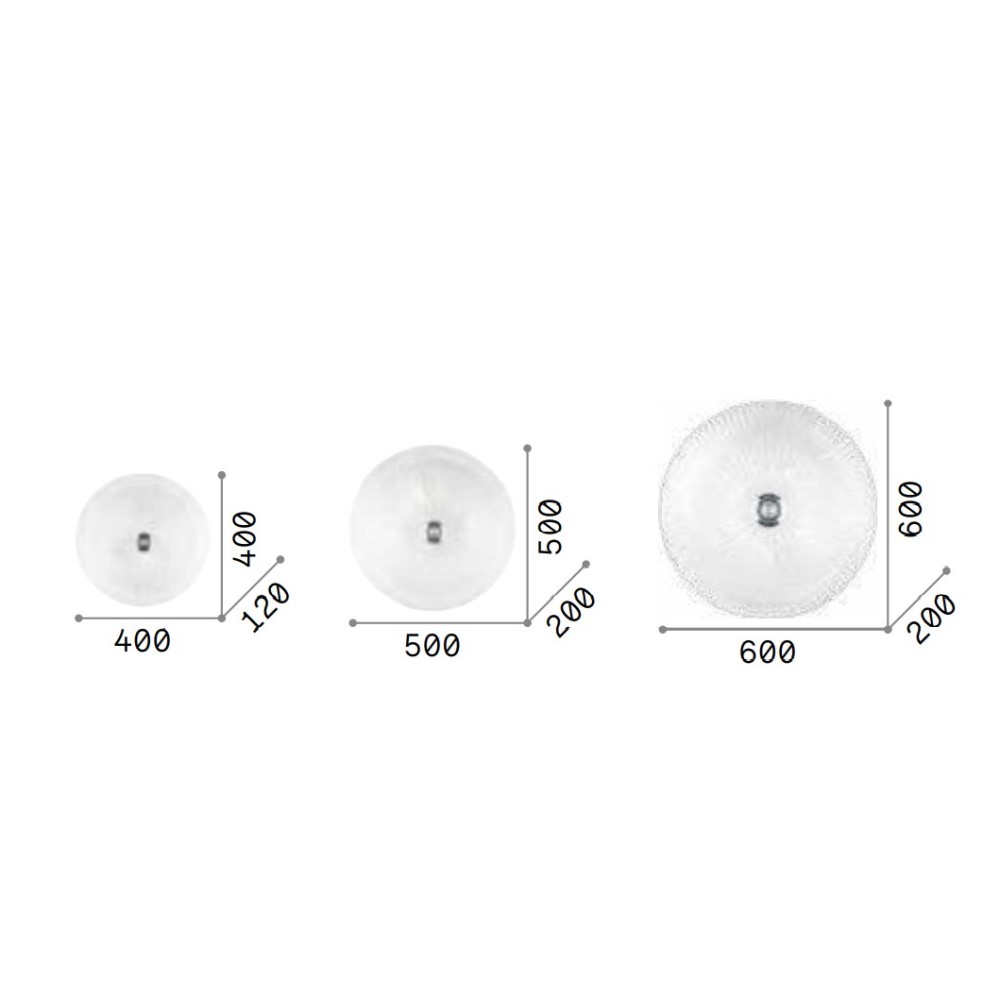 Shell Ceiling Light