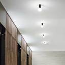 Petit Ceiling Light