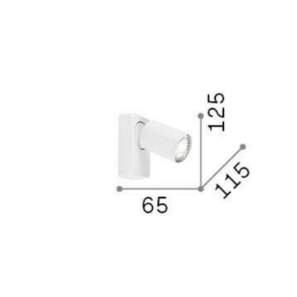 Rudy Wall Light