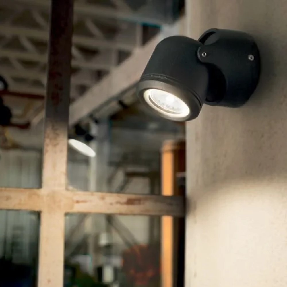 Xeno Wall Light