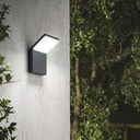 Style Wall Light
