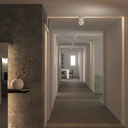 Spectra Ceiling Light
