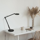 Luxa Table Lamp