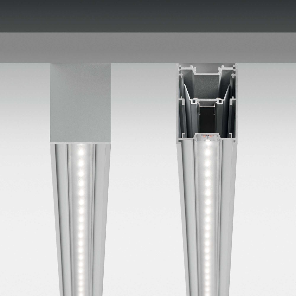 Fluo Bi-Emission