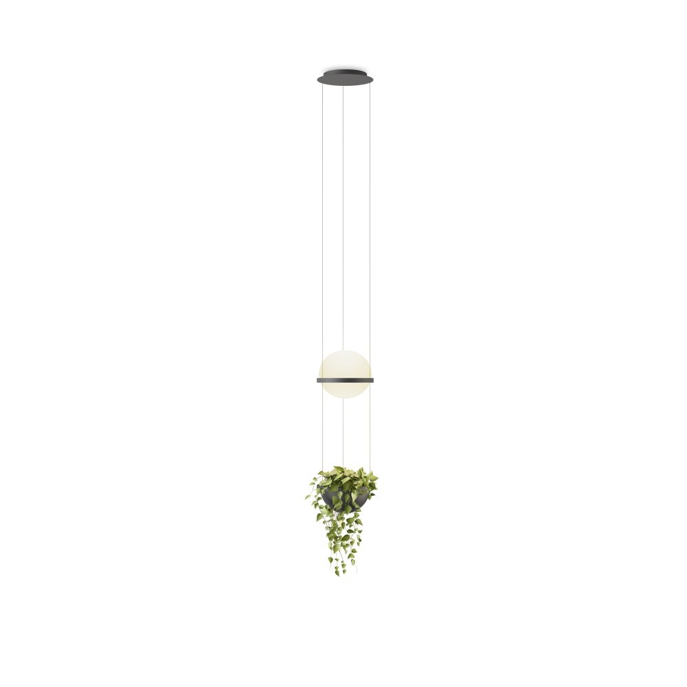 Vibia Palma 3724 viseča svetilka | formasvetila.si
