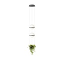 Vibia Palma 3728 viseča svetilka | formasvetila.si