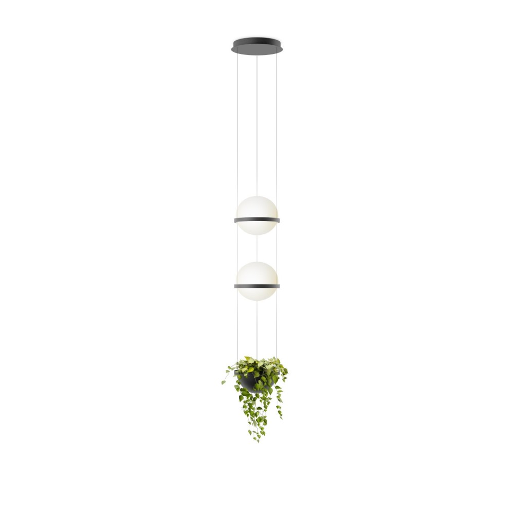 Vibia Palma 3728 viseča svetilka | formasvetila.si