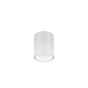 Wever &amp; Ducré Ray Mini 1.0 LED stropna svetilka | formasvetila.si