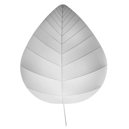 Eden stenska in stropnas svetilka
