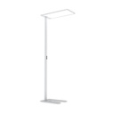 Ideal lux Comfort stoječa svetilka | formasvetila.si