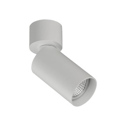 Zoom Spotlight (Bela)