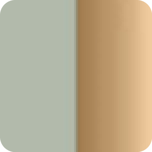 Barva izdelka: Nuance Olive/Brass