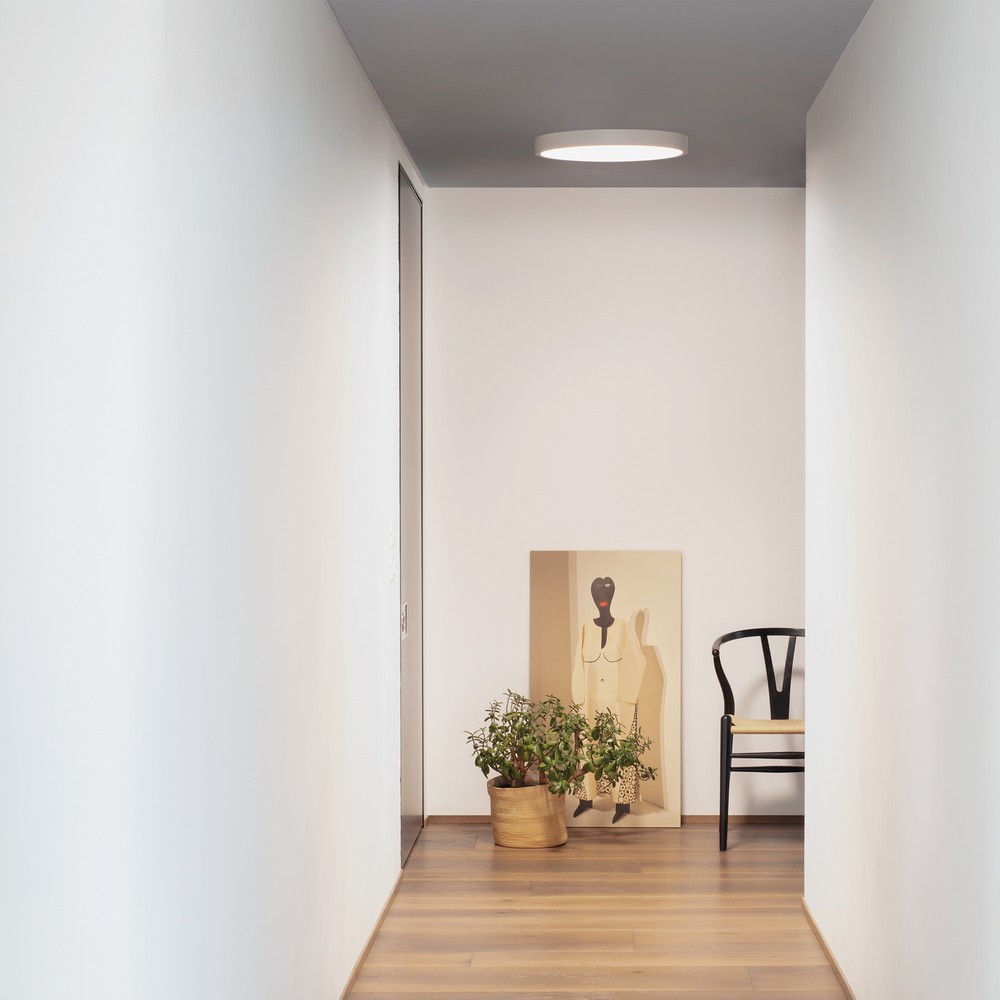 Ideal lux Ray stropna svetilka | formasvetila.si