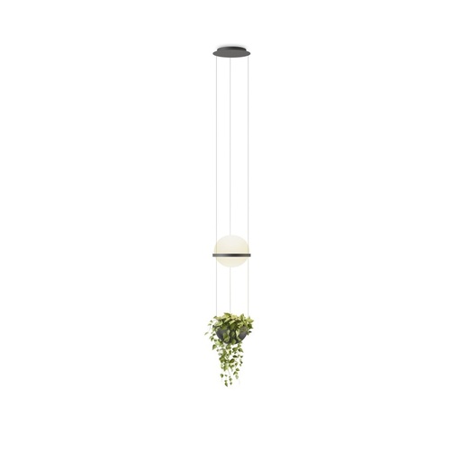 Vibia Palma 3724 viseča svetilka | formasvetila.si