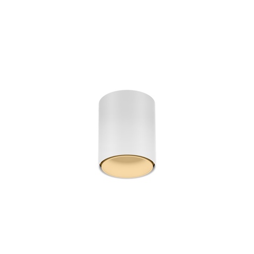 Wever & Ducré Ray Mini 1.0 LED stropna svetilka | formasvetila.si