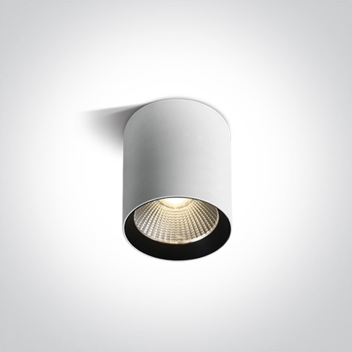 One Light COB Cylinders zunanja stropna svetilka | formasvetila.si