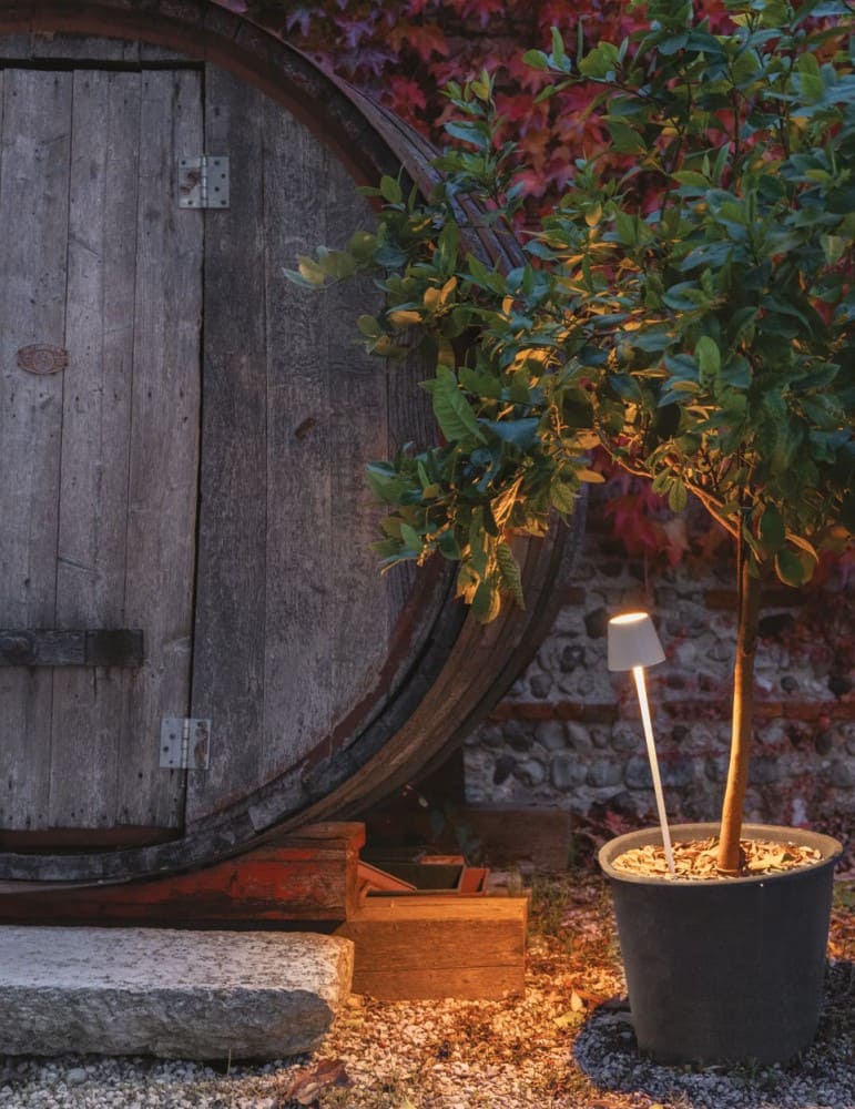 Zafferano Ai Lati Lights Poldina Pro svetilka s konico | formasvetila.si