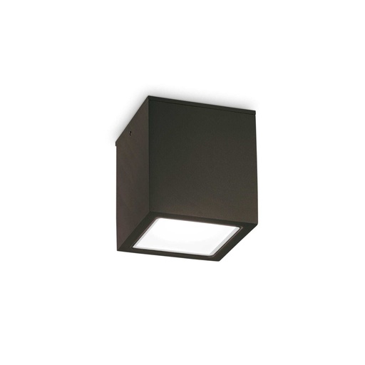 Ideal lux Techo zunanja stropna svetilka | formasvetila.si