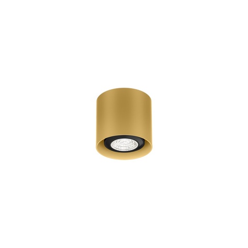 Wever & Ducré Ray Mini 1.0 PAR16 stropna svetilka | formasvetila.si